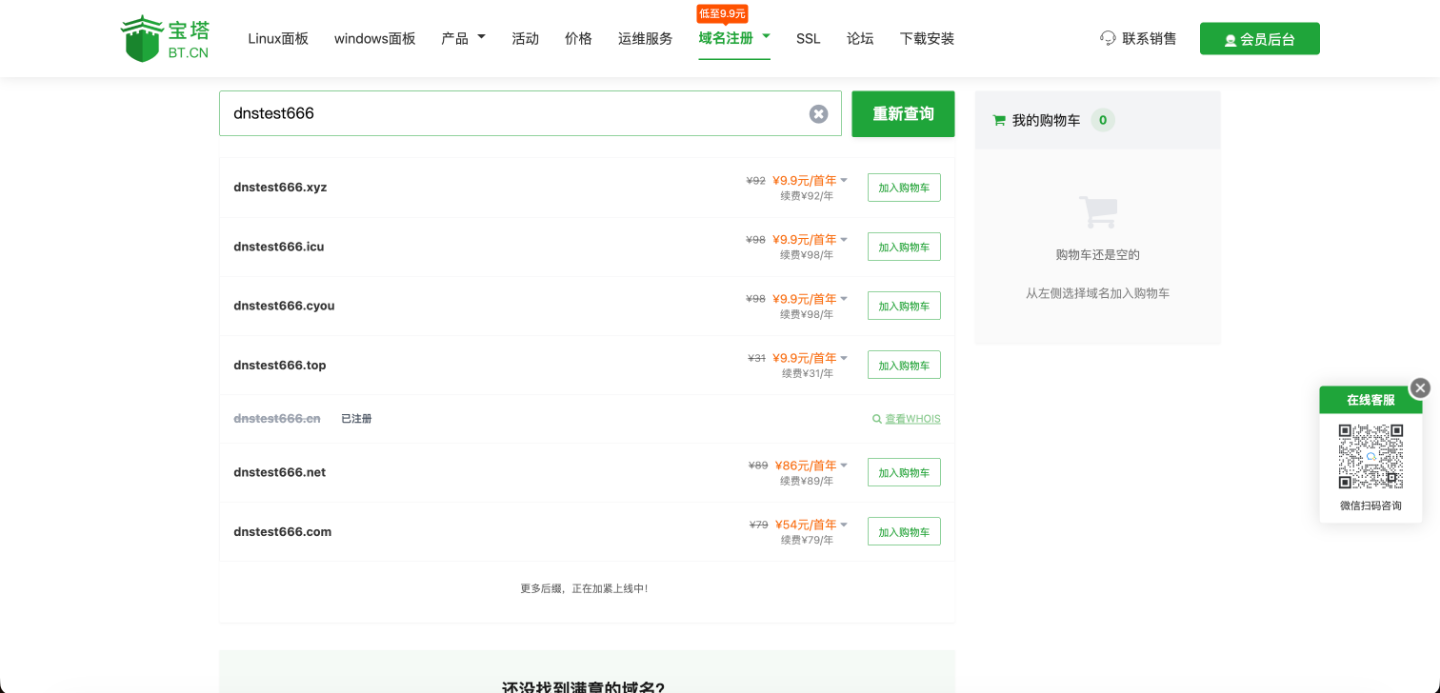 域名查询结果状态